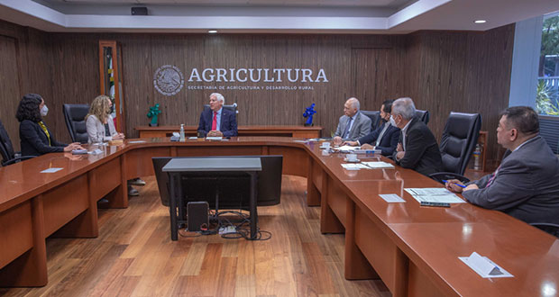 México y EU refuerzan medidas contra influenza aviar y peste porcina