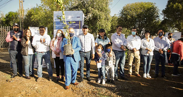 San Andrés Cholula planta 100 árboles en delegación Atlixcáyotl