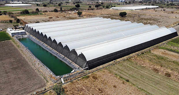 Suman 257 créditos a medianas empresas agroalimentarias en Puebla