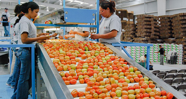 DOF 30/6/22: Economía da a conocer números de identificación comercial