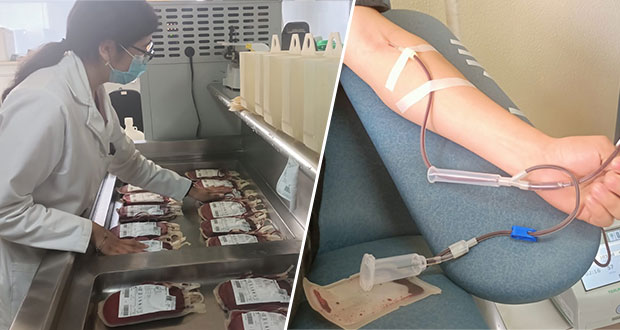 Por pandemia, donación de sangre baja 30% en Puebla; ¡únete y salva vidas!
