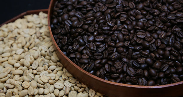 Puebla, primer lugar en rendimiento por hectárea cultivada de café