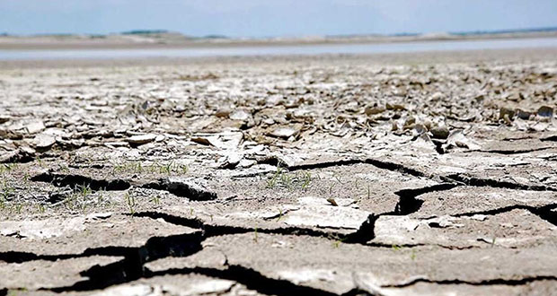 AMLO decreta atender escasez de agua en Nuevo León; asunto nacional