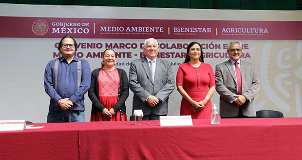 Acuerdan registro de sistemas agroforestales en Sembrando Vida