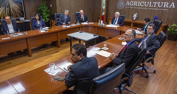 Agricultura e IP impulsarán proveeduría de flores en supermercados