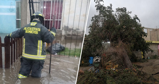 Calles y casas inundadas, autos varados y árbol caído, por lluvias en Puebla