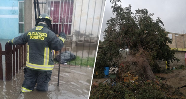 Calles y casas inundadas, autos varados y árbol caído, por lluvias en Puebla  