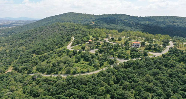 Con decreto se inicia proceso de declaratoria de Flor del Bosque, aclara Barbosa  