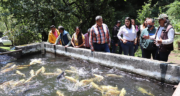 Conapesca inicia gira para supervisar producción acuícola