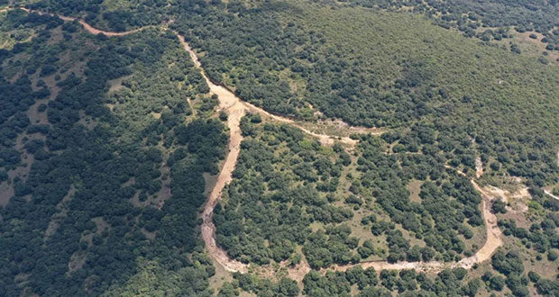 Declaran Área Natural  Protegida 1,501 hectáreas de Flor del Bosque