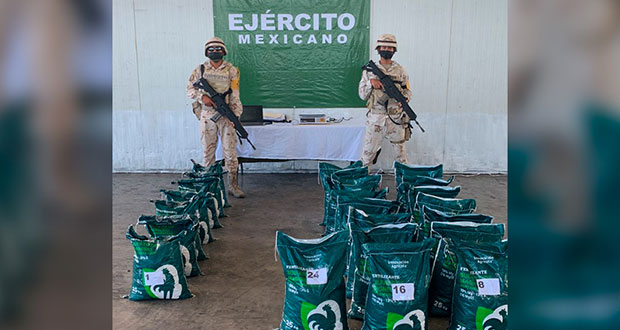 Ejército asegura 315 kilos de metanfetamina dentro de camión en Sonora