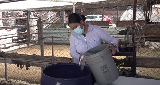 Para mejorar producción, Agricultura te enseña a hacer bioinsumos en videos