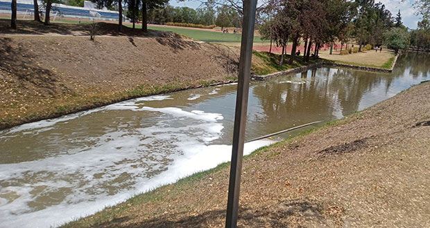 Por falta de tratamiento, aguas negras dañan Parque Ecológico, acusan