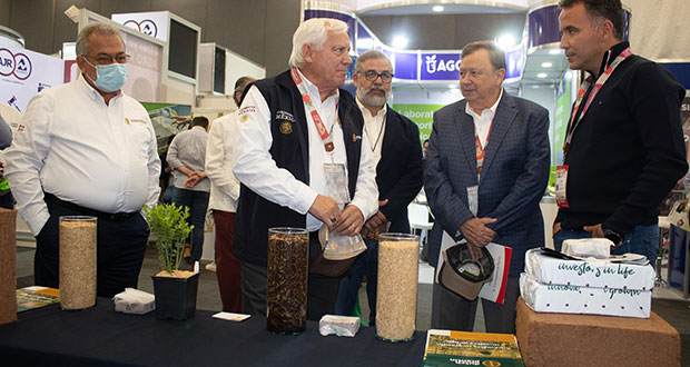 Producción de berries en México genera más de 500 mil empleos: Sader