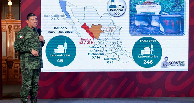 Sedena desmantela 246 narcolaboratorios en semestre; 89% en Sinaloa