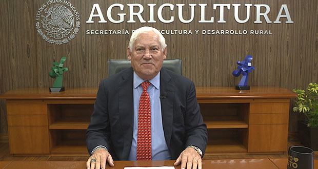 Agricultura busca que Milpa Maya sea Patrimonio Mundial