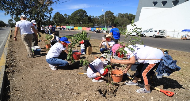 Rivera pone en marcha reforestación en Puebla con 4 mil árboles en primera etapa