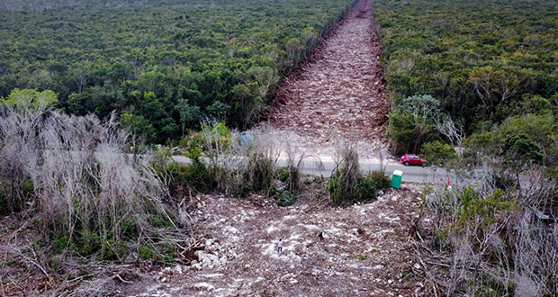 AMLO emite decreto para expropiar 109 hectáreas para tramo 5 del Tren Maya