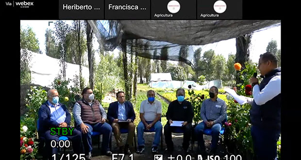 Agricultura da apoyos directos a floricultores de Puebla y 7 estados