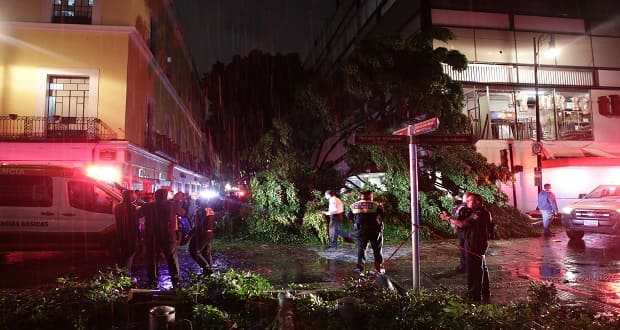 Comuna apoyará en gastos funerarios de niño que murió por caída de árbol en CH
