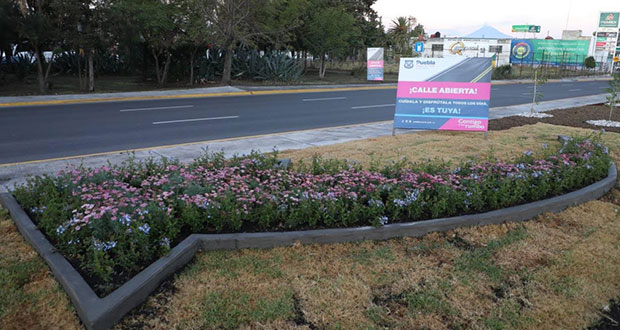 Ayuntamiento de Puebla gasta 31 mdp en rehabilitar calle Educadores
