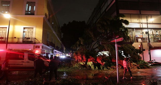 Barbosa pide investigación por caída de árbol en Centro Histórico de Puebla