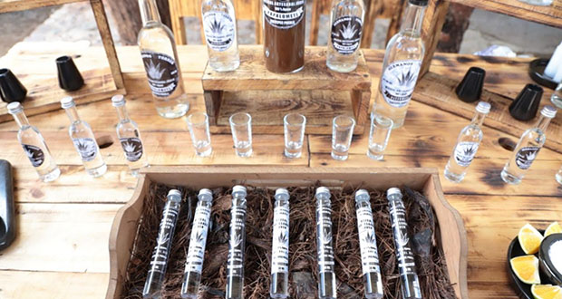SDR abre ruta agroturística del mezcal en Puebla y apoya con 97 mp 