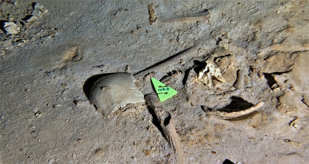 La osamenta encontrada cerca del Tramo 5 del Tren Maya no será afectada