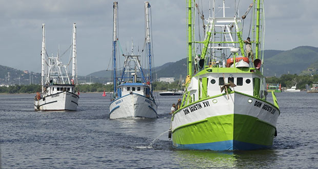 Autorizan pesca de todas las especies de camarón en el Pacífico