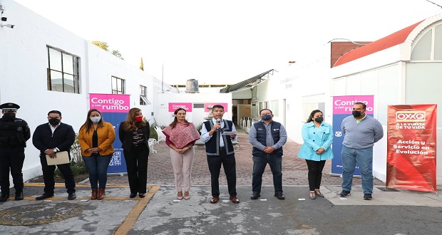 Comuna, abierta a hacer investigación de Contraloría por caída de árbol: edil