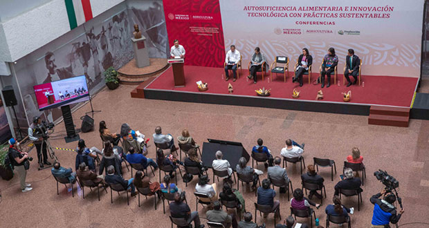 Estrategia agroecológica federal sube 25% rendimiento de cultivos de maíz