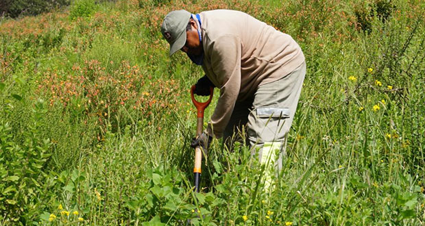 Federación proyecta dar a Puebla 76.6 mdp para obras de medio ambiente en 2023