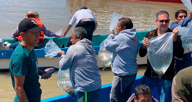Inapesca_Pátzcuaro