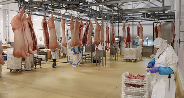México se consolidó en exportaciones de productos de origen animal en 2021