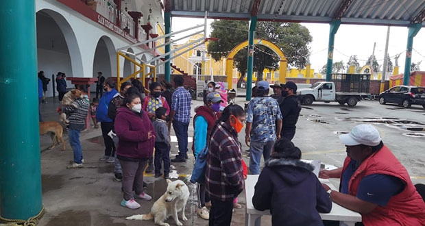 Realizan esterilización para perros y gatos en San Cosme Texintla