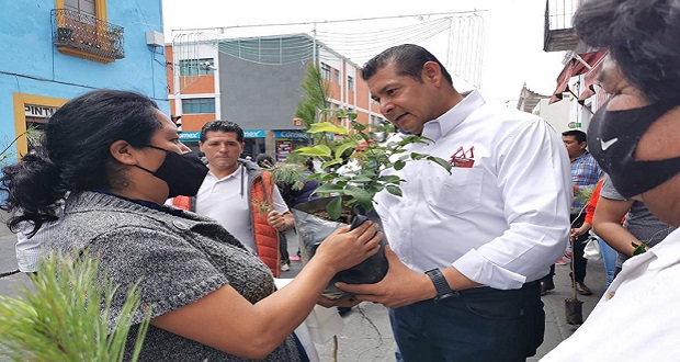 Armenta entrega árboles de pino a poblanos en centro de Puebla. Foto: Especial