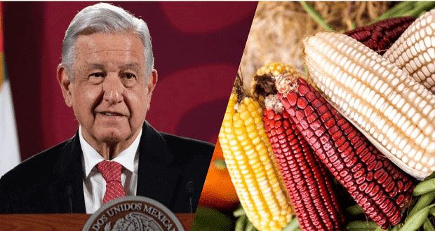 No al maíz transgénico, reitera AMLO; va por eliminar aranceles a arroz