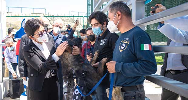 BUAP_perros