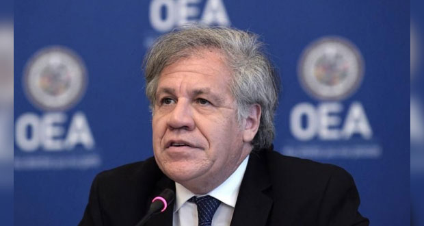 Escándalo de Almagro en OEA: lo investigan por relación con empleada