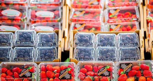 Exportación de frutillas mexicanas sube 8.7% en primer semestre: Agricultura