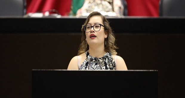 "Efecto cucaracha" puede perjudicar a Morena: Julieta Vences