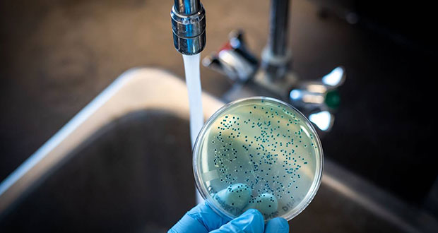 México emite aviso epidemiológico ante aumento de cólera en mundo