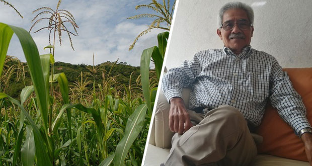 Producir más contaminando menos, gran reto del campo mexicano: Damián Huato