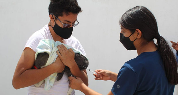 Puebla capital, 16 años sin casos de rabia gracias a vacunación 