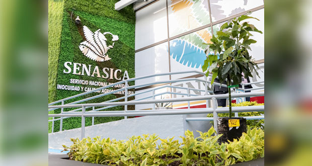 Senasica colabora con IP para garantizar sanidad de alimentos en México