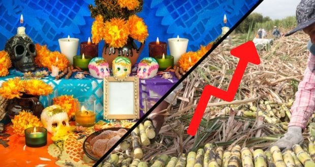 Previo a Día de Muertos, producción en Puebla de caña y gladiola suben