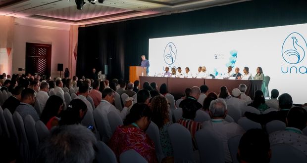 Avicultura mexicana crece 26% en década