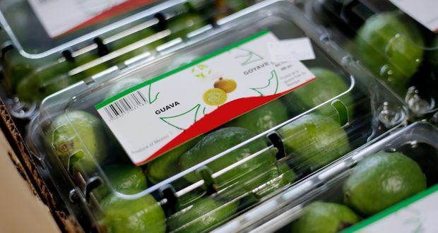 México potencializa capacidad para irradiar frutas y vegetales frescos