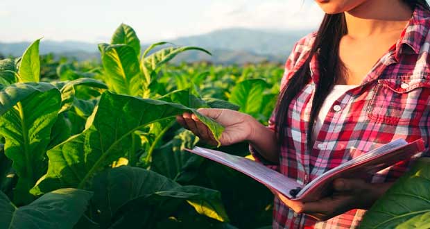 Evaluación cualitativa en SNI, pero justa, evitaría ciencia burocratizada