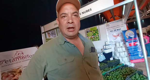 cooperativa-de-aguacate